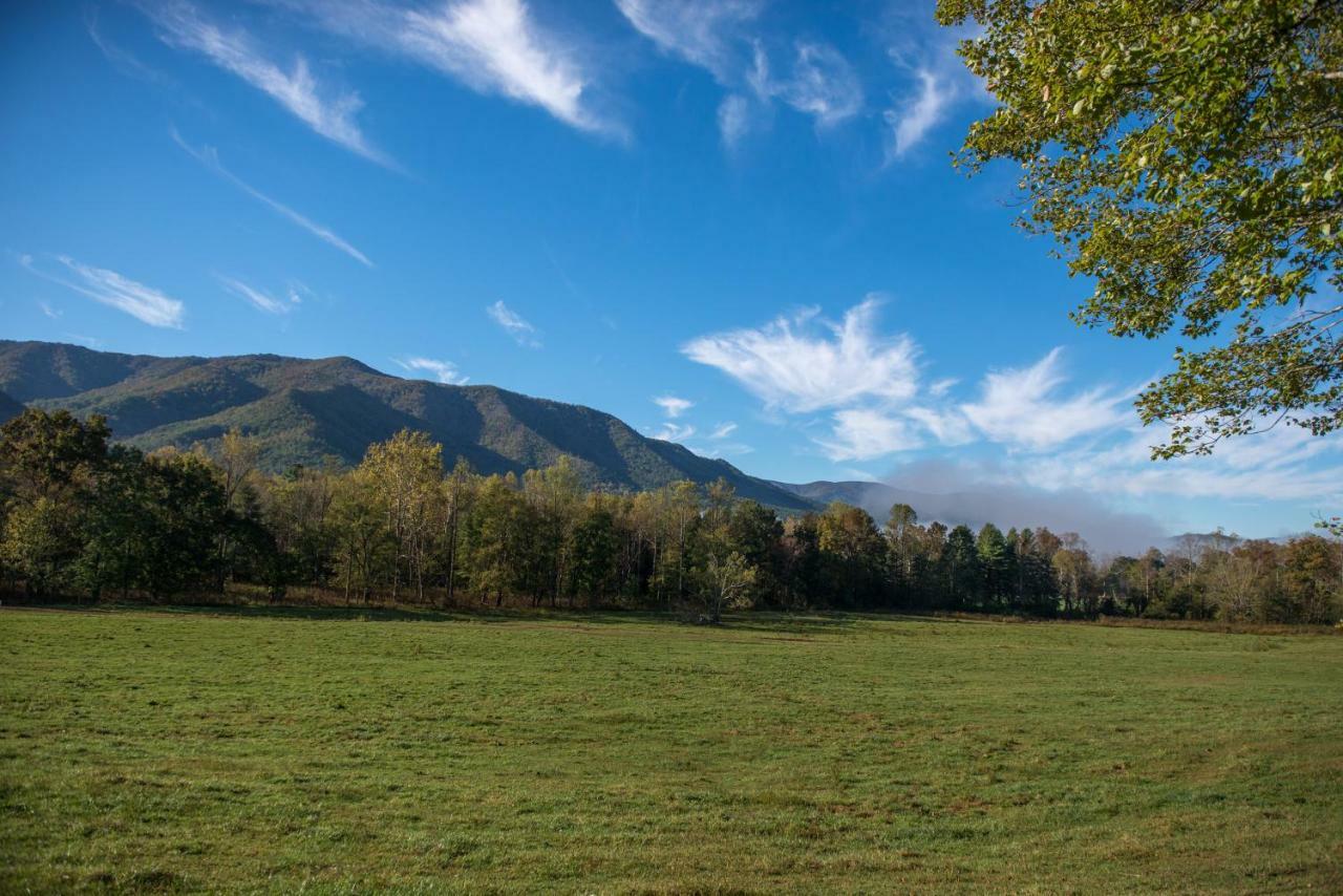 Bearfoot Retreat Villa Waldens Creek Екстериор снимка